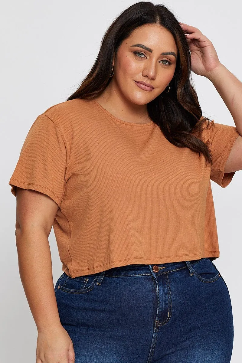 Beige Crop T-Shirt Crew Neck Short Sleeve Semi